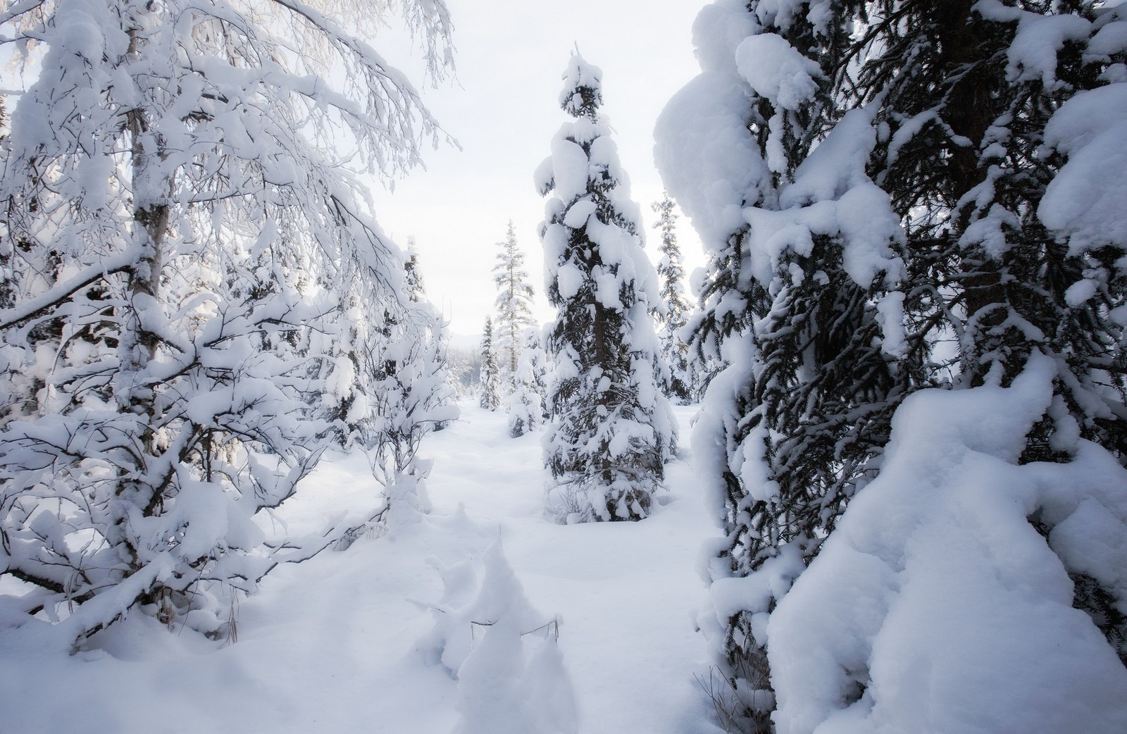 10 conseils pour améliorer vos photos d'hiver (I)