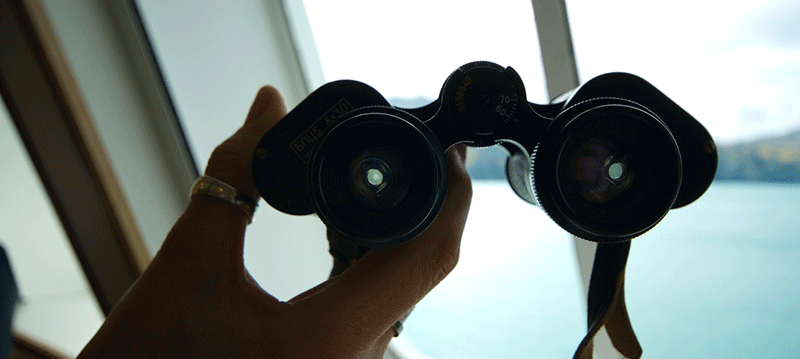 Cómo elegir unos prismáticos: pupila de salida