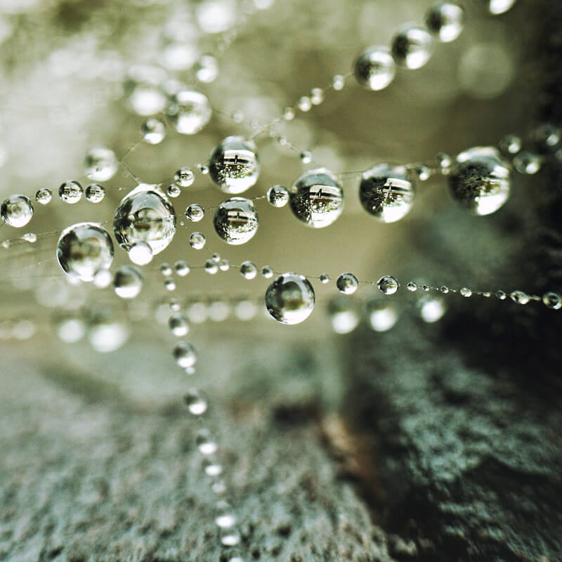 Fotos de gotas de agua. Autor: Petras Gaglias