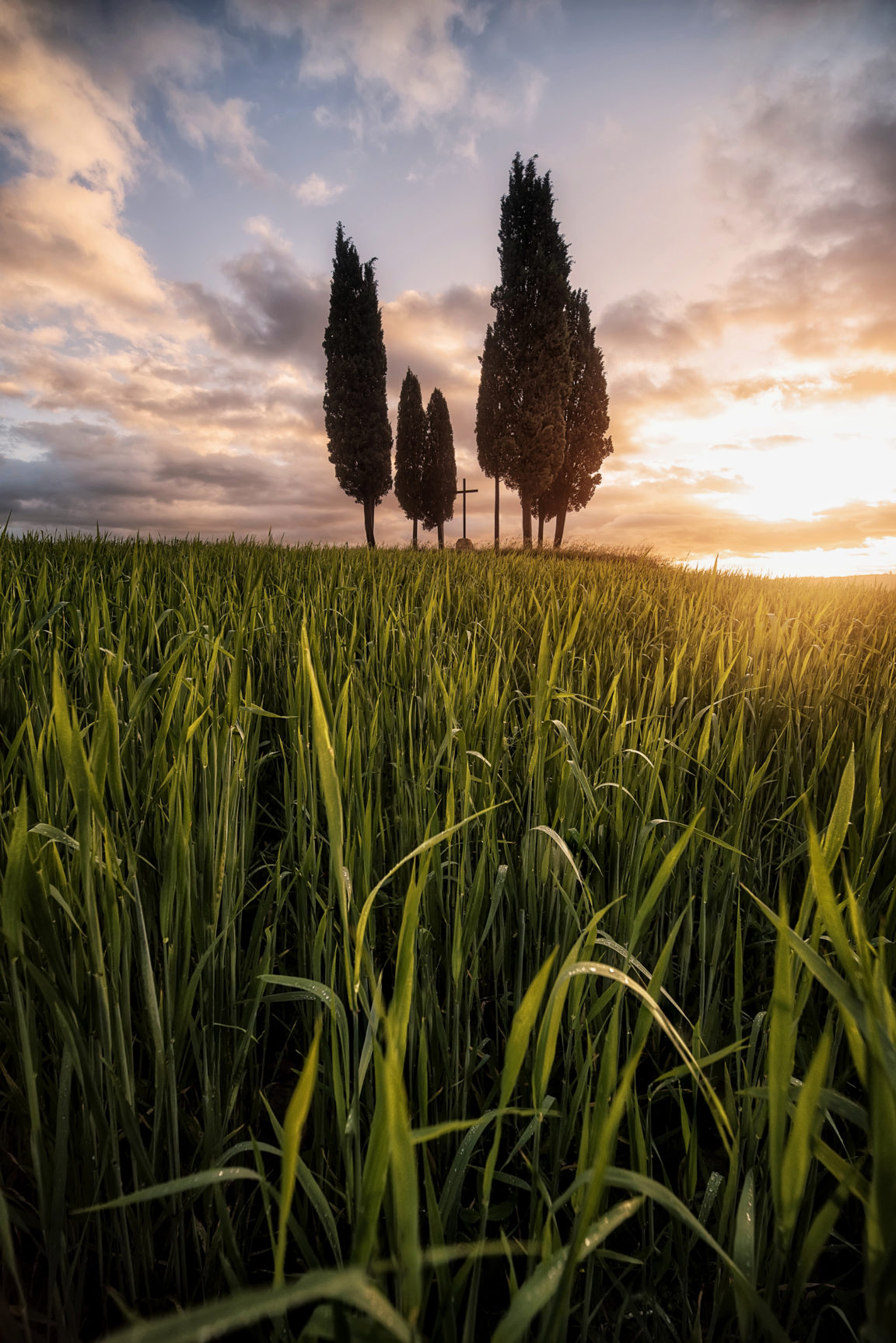 4 consejos para fotografía de paisaje en formato vertical - Foto24