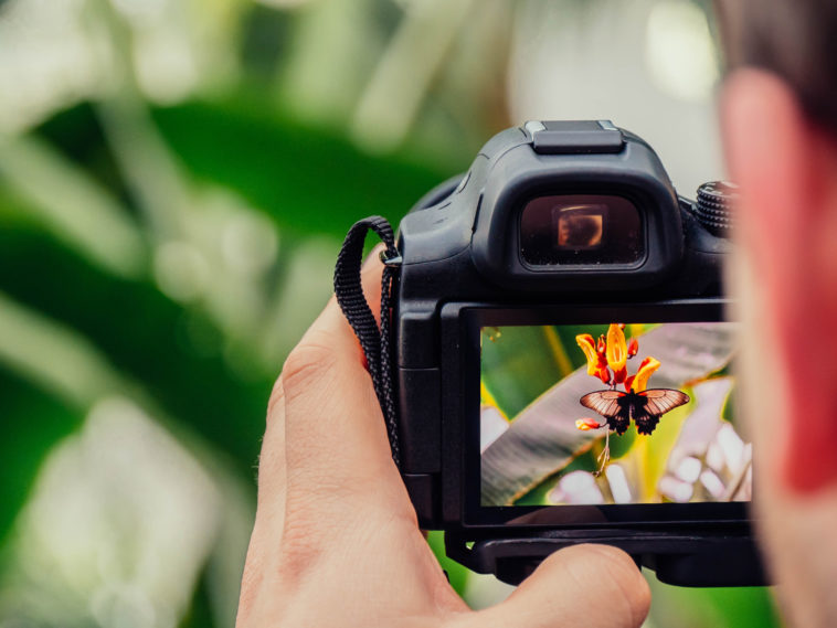 sensores en fotografía