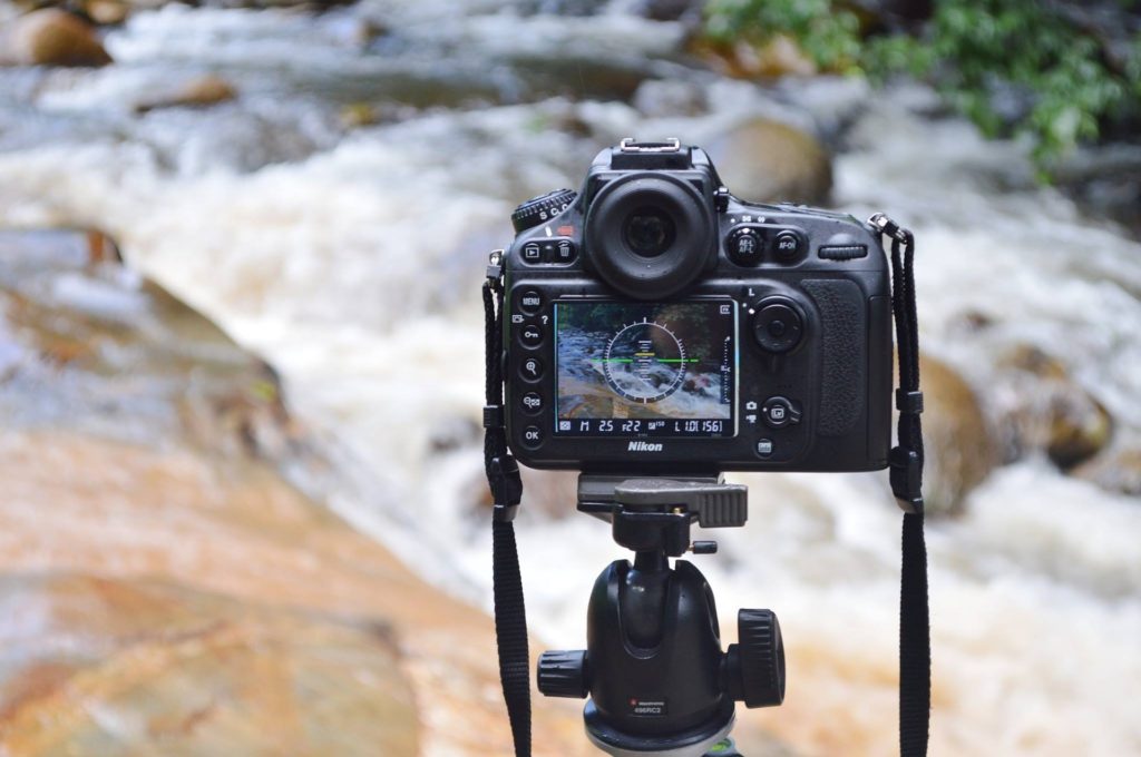 L'autofocus pour des photos bien nettes