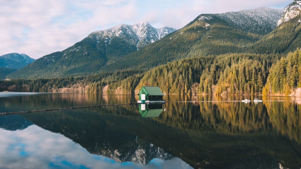 L'autofocus pour des photos bien nettes