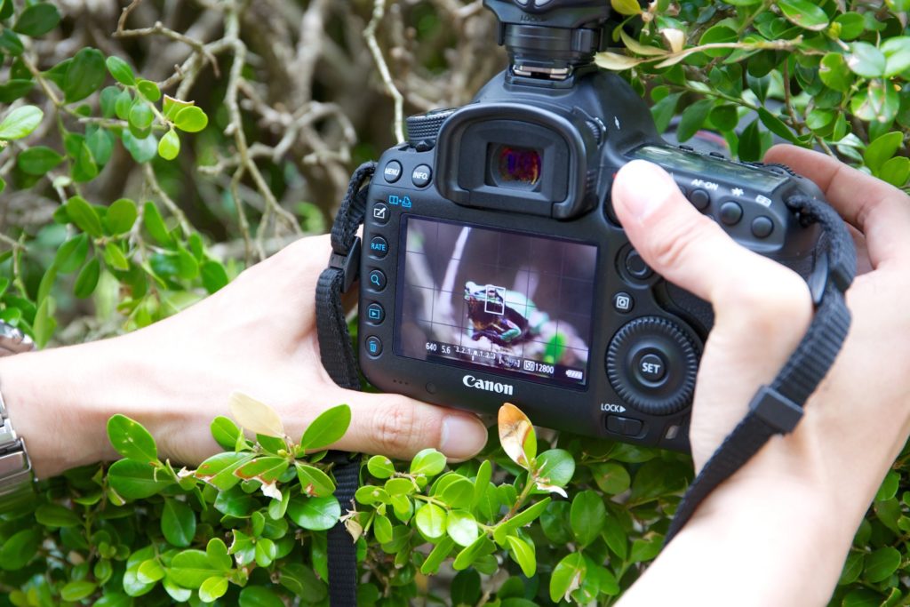 L'autofocus pour des photos bien nettes