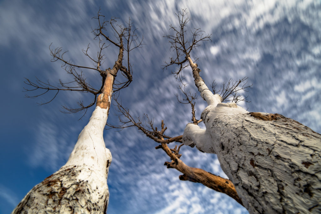 Photographies de nuages en mouvement