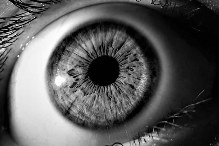 Fotos de ojos impresionantes en 6 pasos Foto24