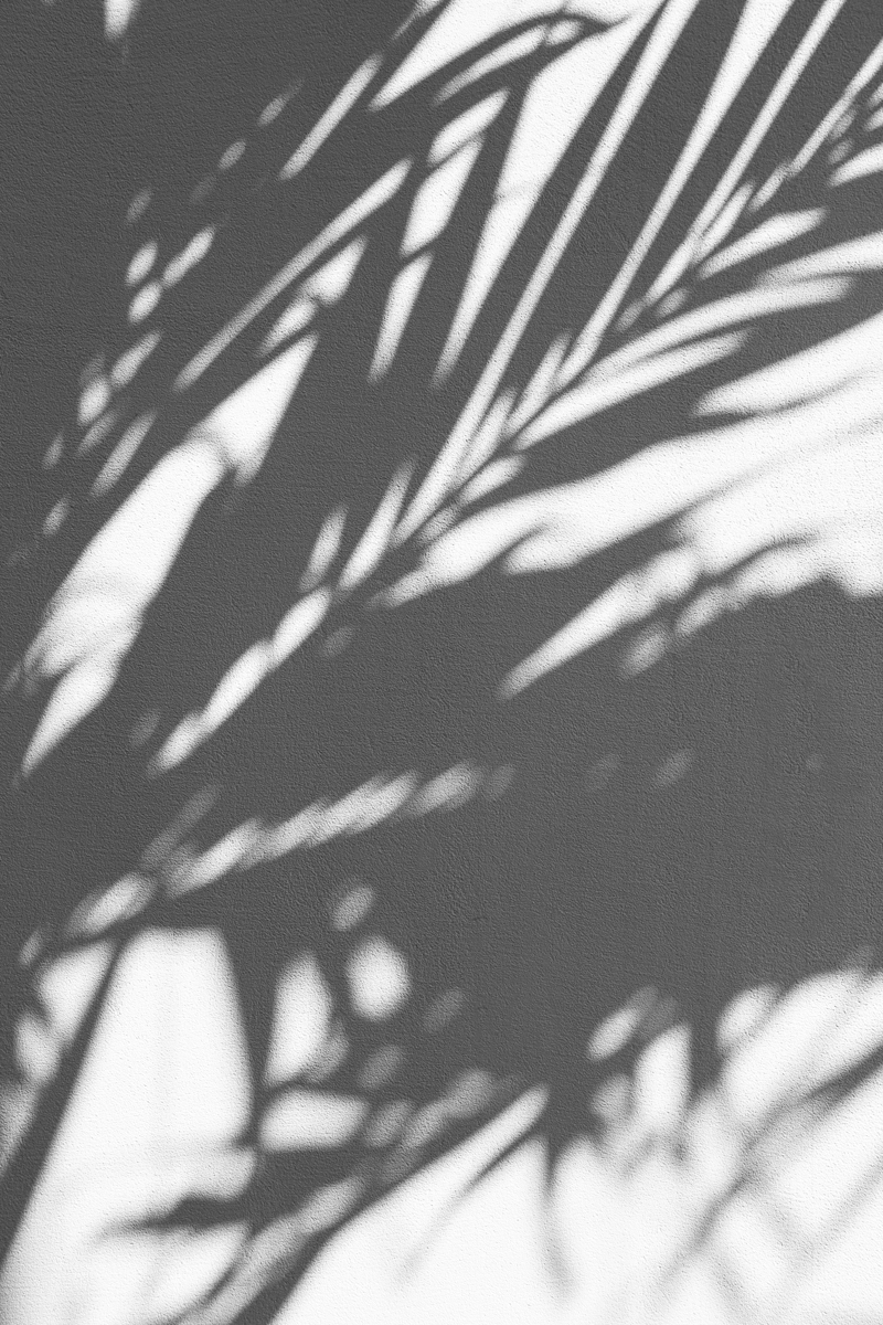 Fotografía las sombras de forma abstracta