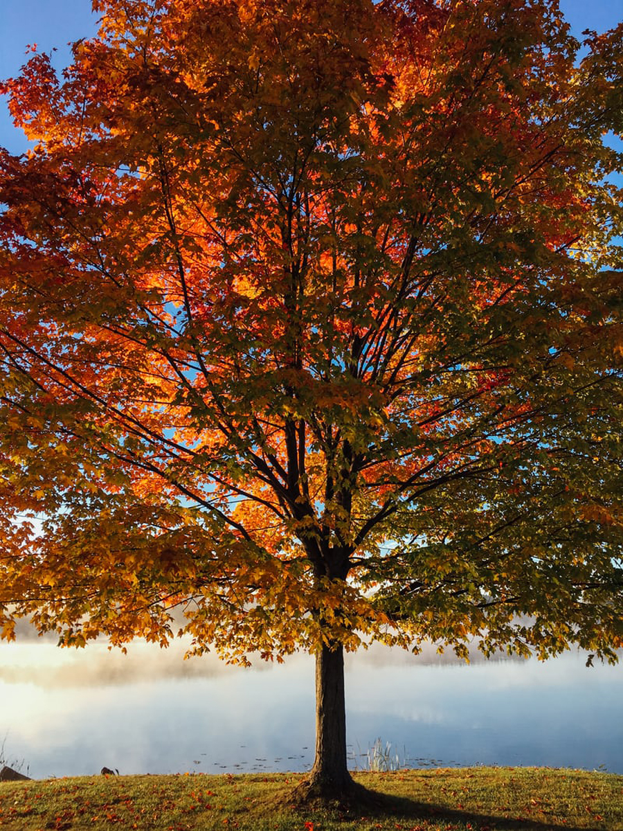 15 idées créatives pour photographier l'automne