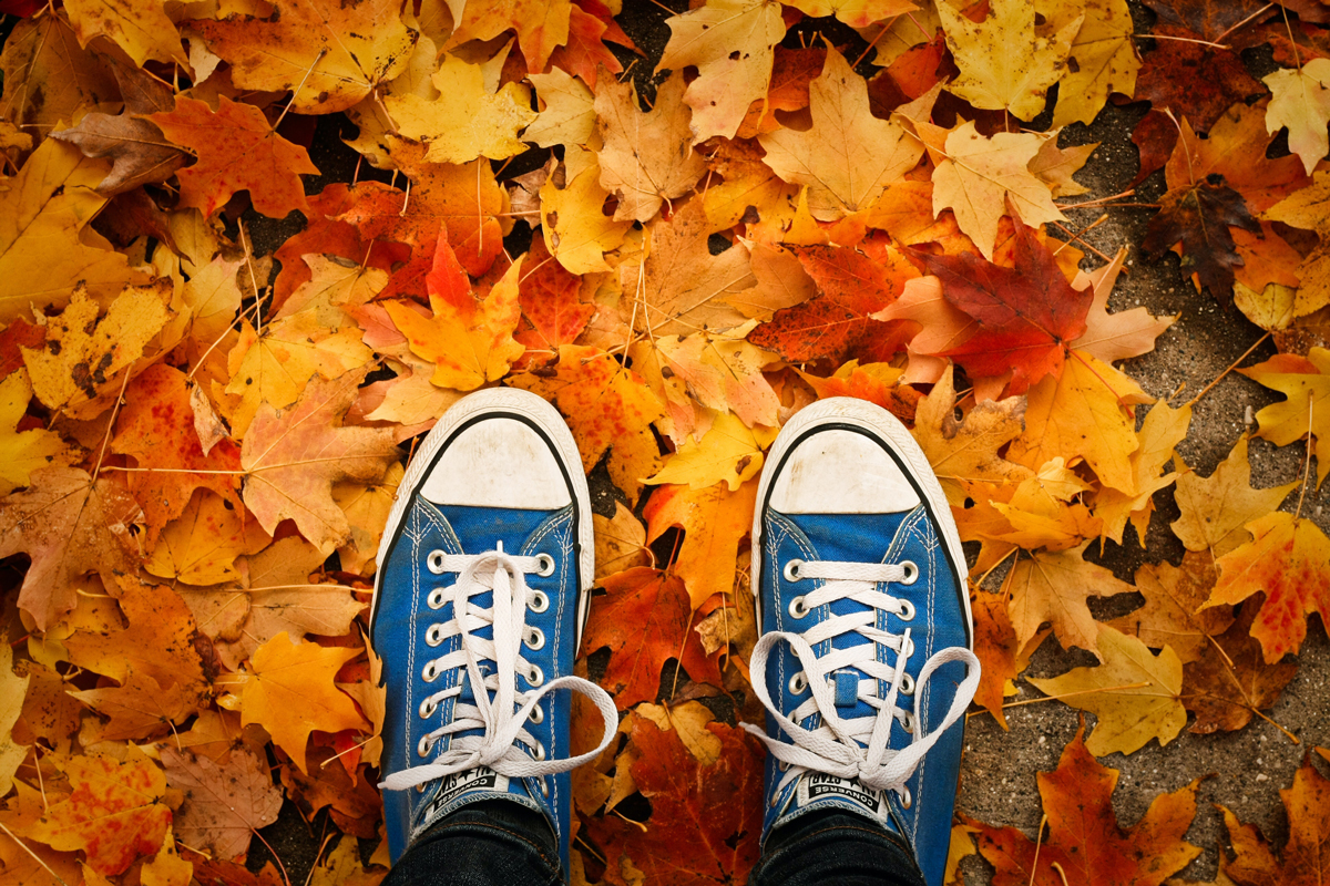 Ideas creativas para fotografiar el otoño: Zapatillas y hojas secas