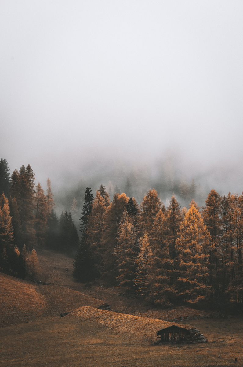 No te olivides de retocar tus fotografías de niebla